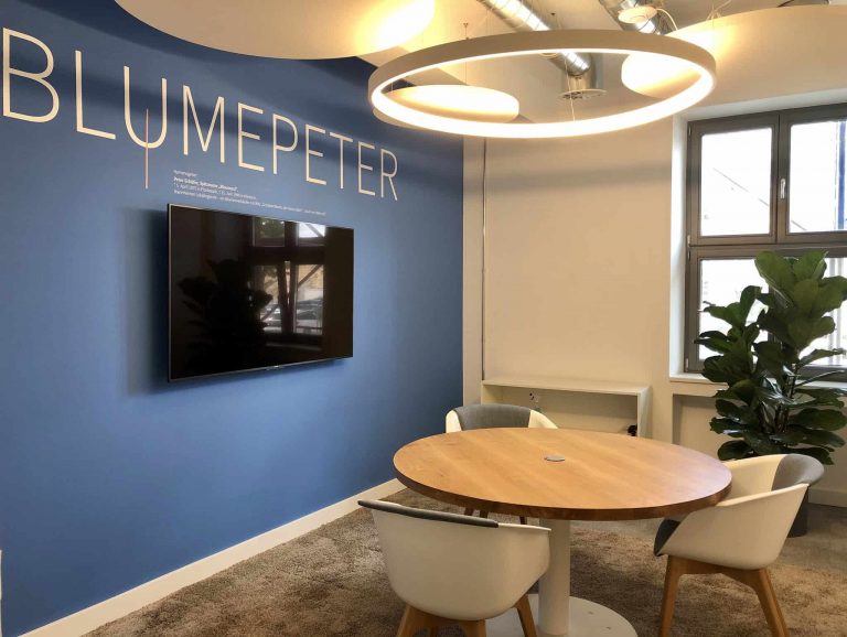 1000-Satellites-Meetingraum-Blumepeter